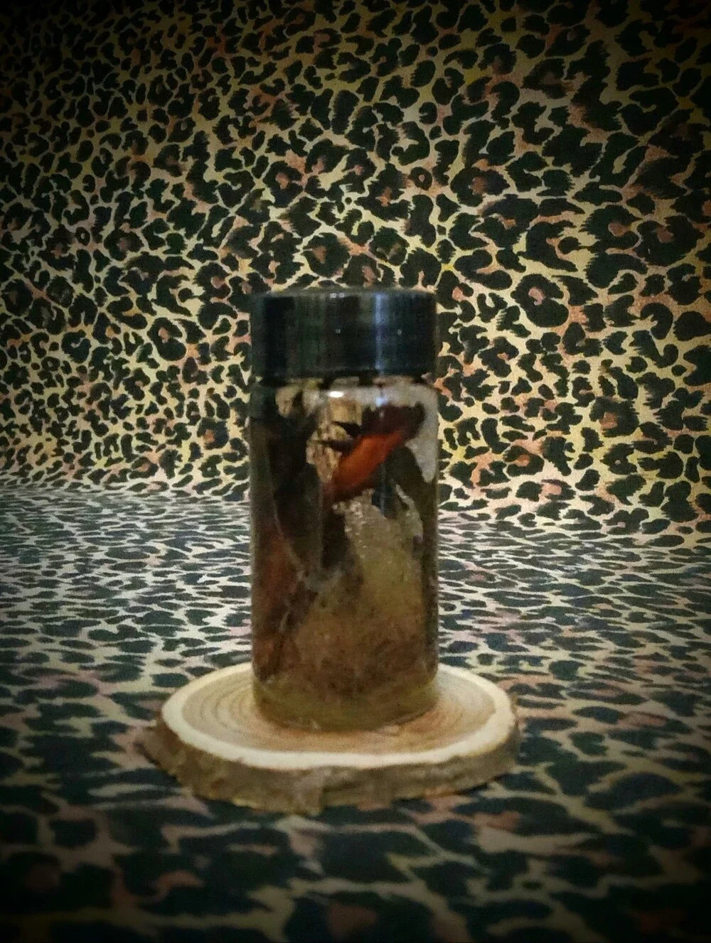 King Solomon ~ Ritual Oil ~ Victory Prestige ~ Witchcraft